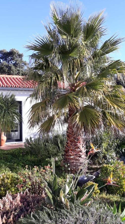 Appartamento Pirilampo Monchique Esterno foto
