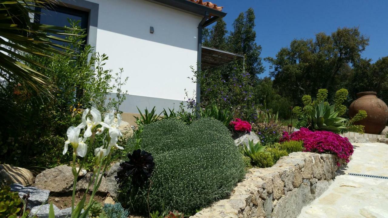 Appartamento Pirilampo Monchique Esterno foto